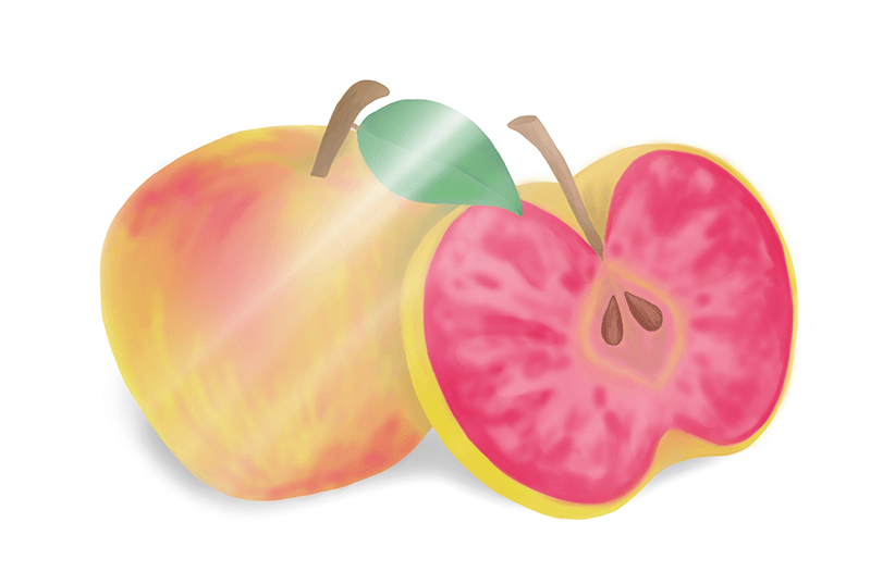 A Pink Pearl apple cut open, revealing its pink-and-white marbled interior